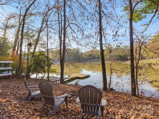 view of yard with a water view and a dock