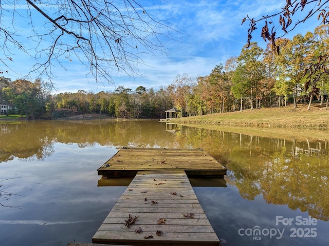 dock area with a forest view and a water view