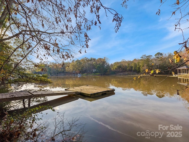 dock area featuring a view of trees and a water view