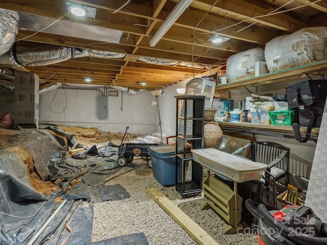 unfinished below grade area featuring electric panel