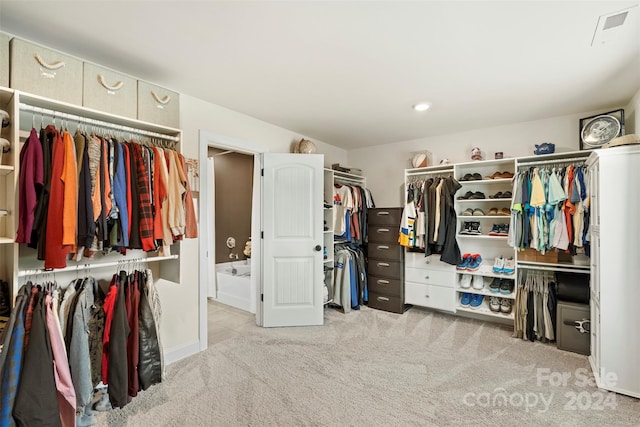 spacious closet with light colored carpet