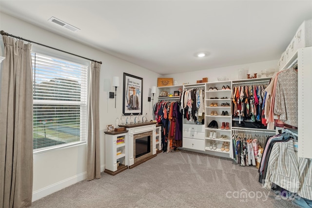 walk in closet with carpet flooring