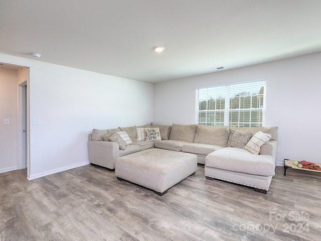 living room featuring hardwood / wood-style flooring