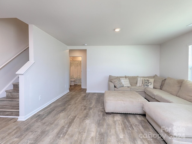 living room featuring wood-type flooring