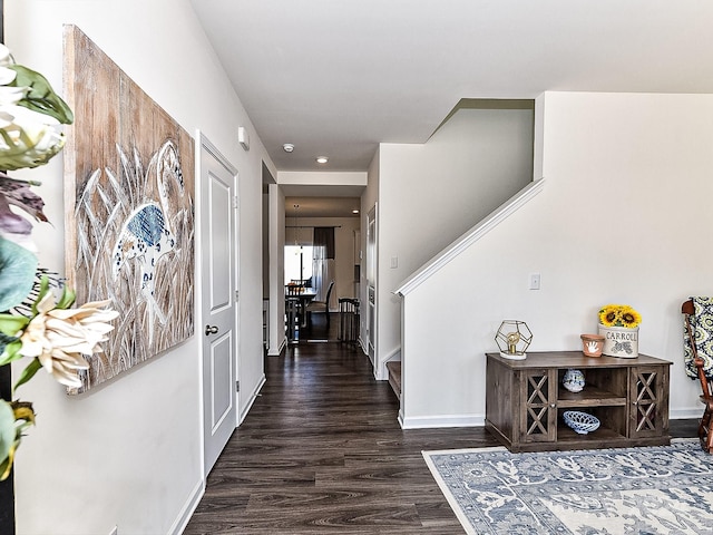 foyer entrance with dark hardwood / wood-style flooring