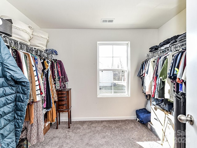 walk in closet featuring carpet