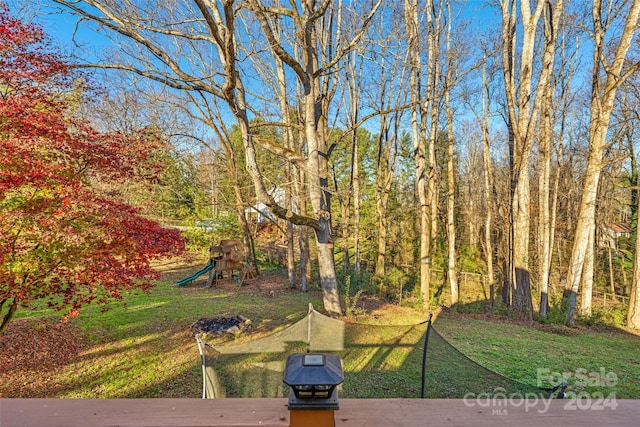 66 Beechwood Dr, Horse Shoe, NC 28742 - photo 25