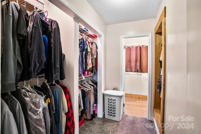 walk in closet with carpet flooring