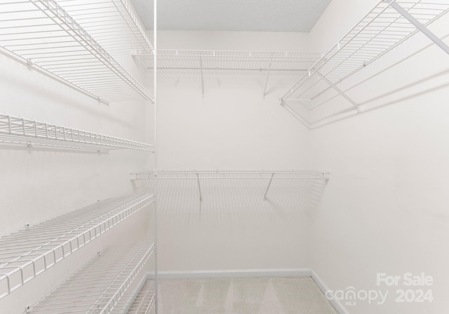 spacious closet with radiator and carpet