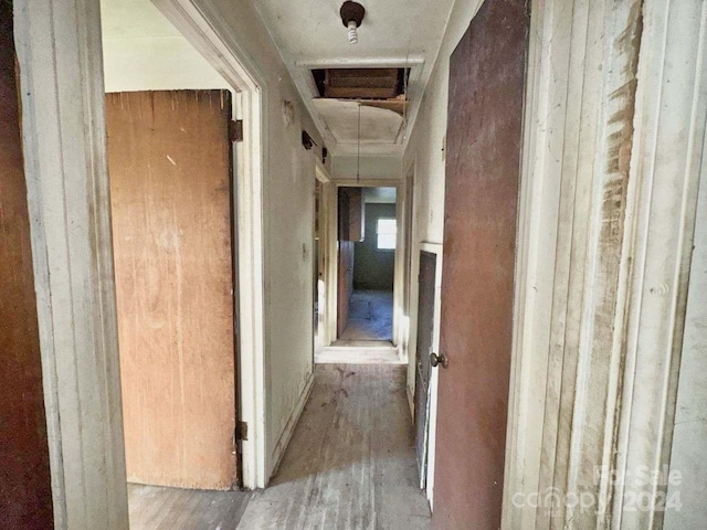 hall featuring wood-type flooring