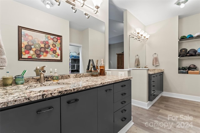 bathroom featuring hardwood / wood-style floors and vanity