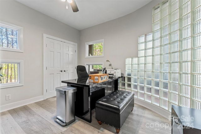 home office with a wealth of natural light, ceiling fan, and light hardwood / wood-style floors