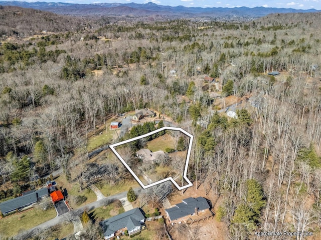 aerial view with a mountain view