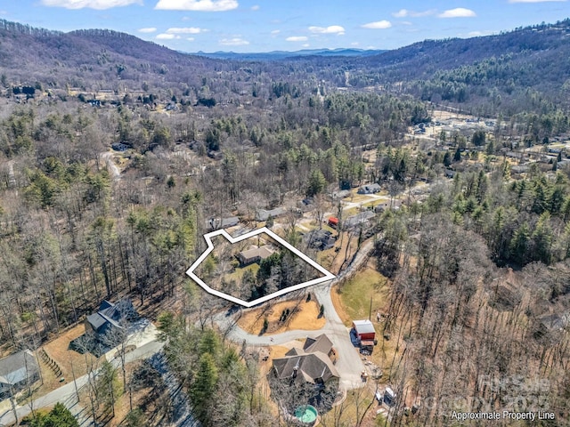 birds eye view of property with a mountain view and a view of trees