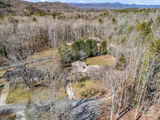 birds eye view of property with a mountain view and a view of trees