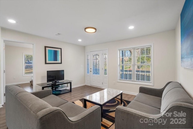 living room featuring hardwood / wood-style flooring