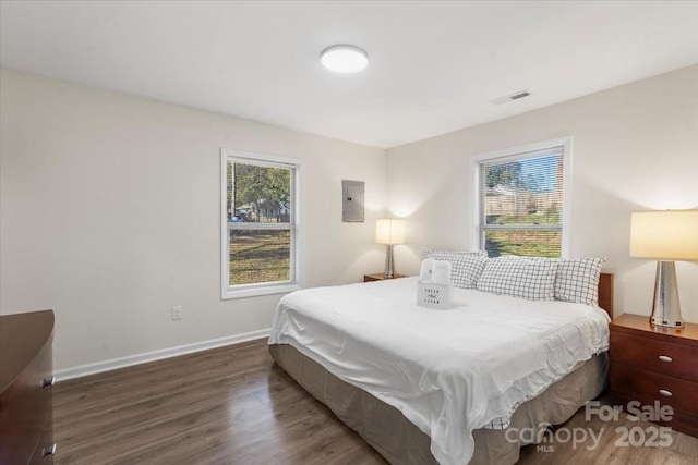 bedroom with dark hardwood / wood-style floors, electric panel, and multiple windows