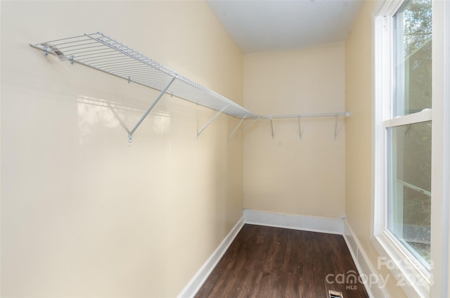 spacious closet with dark wood-type flooring