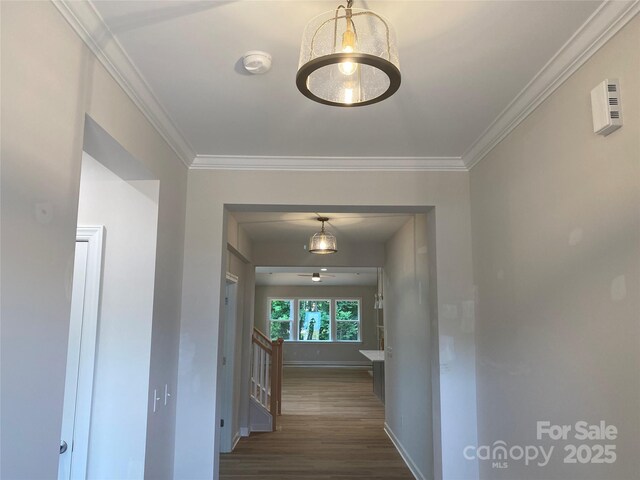 9130 Dulwich Dr Unit Ken0079, Charlotte, NC 28215 - photo 4