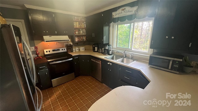 kitchen featuring exhaust hood, stainless steel appliances, ornamental molding, and sink