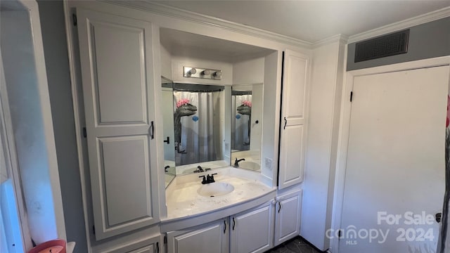 bathroom with vanity and crown molding