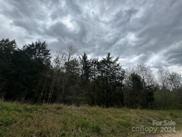 000 Dudley Church Rd, Pageland SC, 29728 land for sale