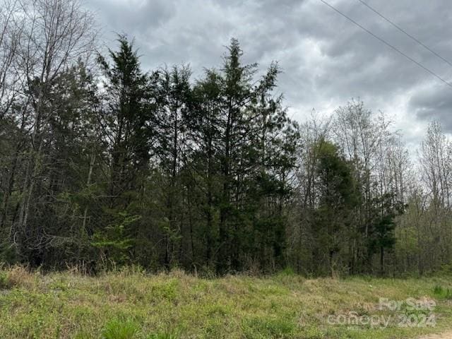 00 Dudley Church Rd, Pageland, SC 29728 - photo 1