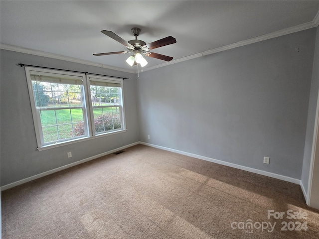 carpeted empty room with ceiling fan and ornamental molding