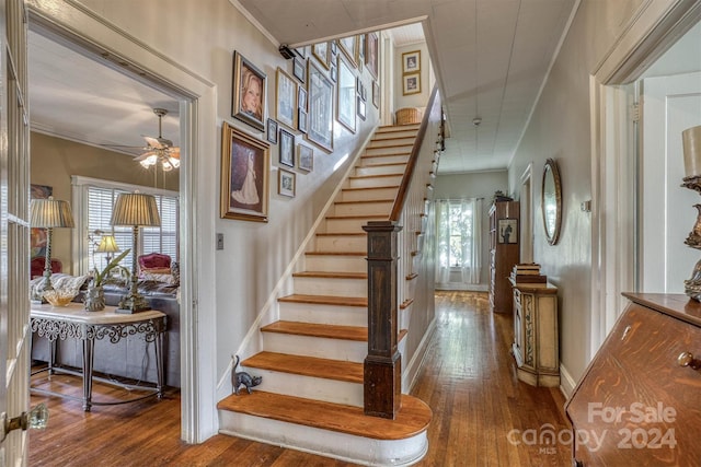 stairs with wood-type flooring, ceiling fan, and ornamental molding