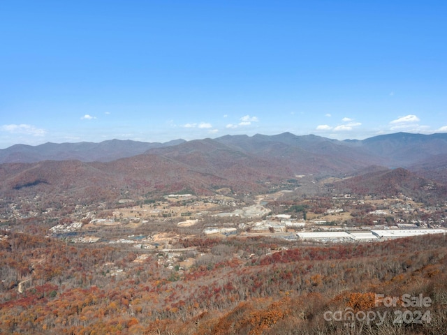 Listing photo 2 for 99999 Mountain Lily Ridge Dr, Swannanoa NC 28778