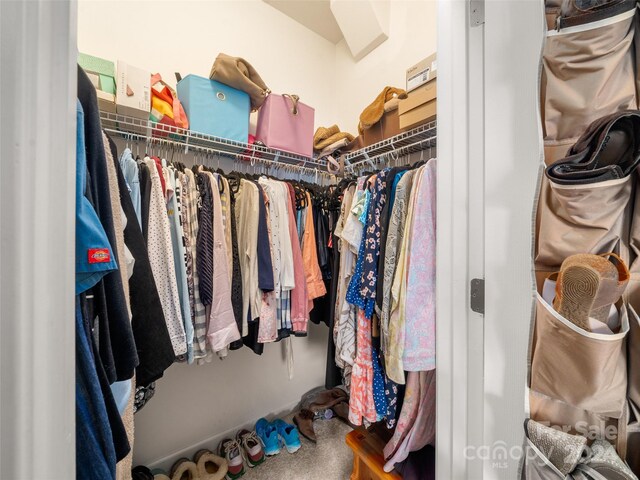 spacious closet featuring carpet flooring