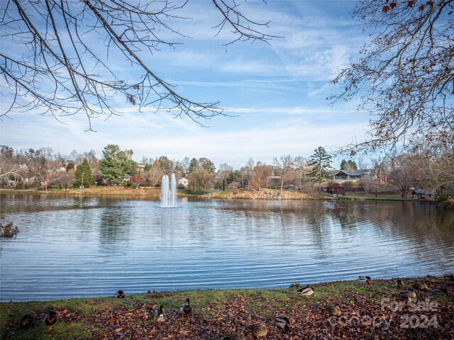 water view