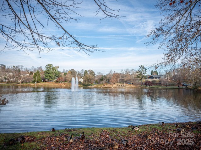 503 Rosebud Orchid Way, Weaverville, NC 28787 - water view