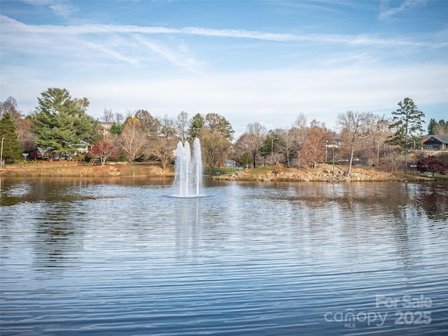 503 Rosebud Orchid Way, Weaverville, NC 28787 - water view