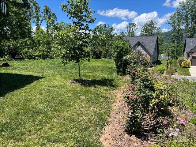 503 Rosebud Orchid Way, Weaverville, NC 28787 - view of green lawn