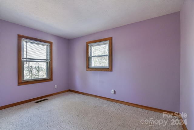 spare room with carpet, plenty of natural light, and a textured ceiling