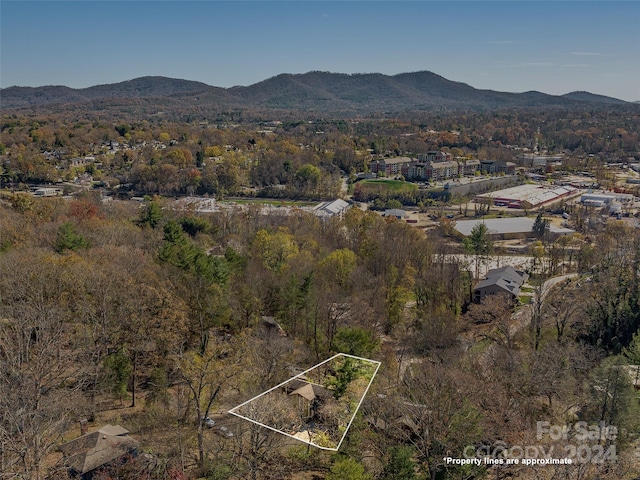 birds eye view of property featuring a mountain view