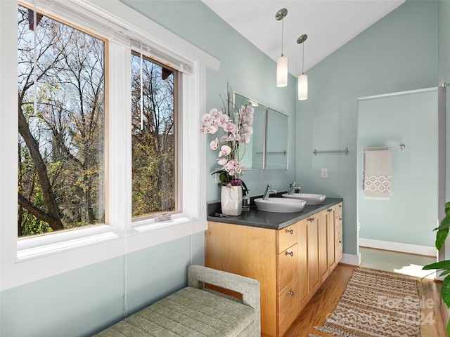 bathroom featuring wood-type flooring, vanity, and a healthy amount of sunlight