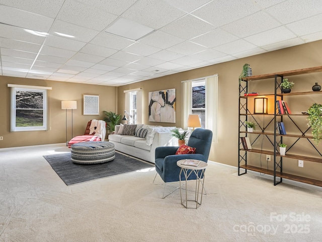 carpeted living room featuring a paneled ceiling