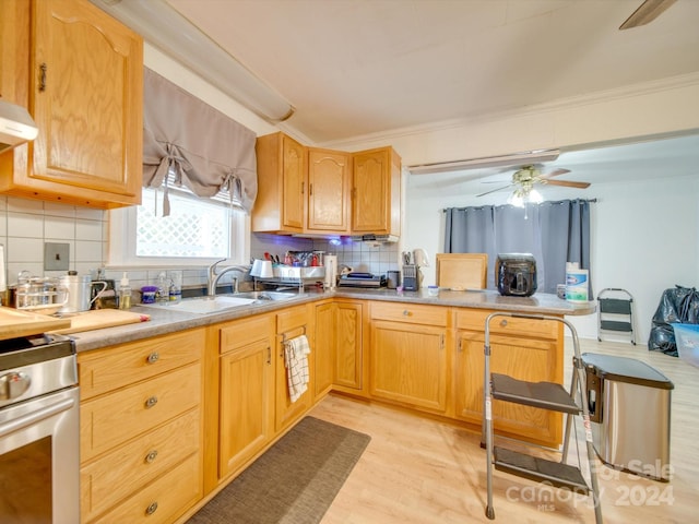 kitchen featuring backsplash, light hardwood / wood-style floors, ornamental molding, and sink