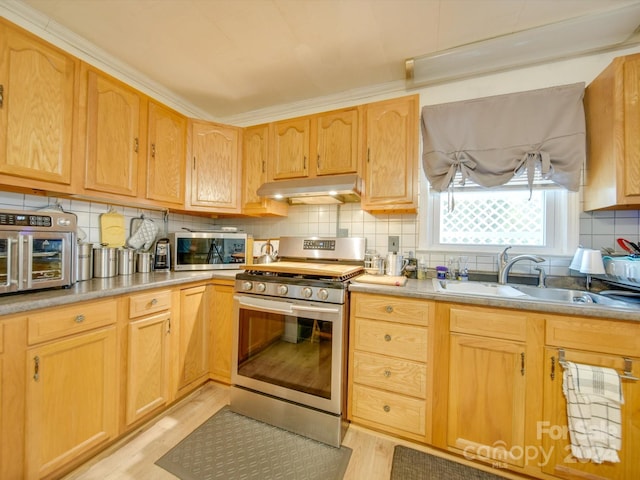 kitchen featuring sink, stainless steel appliances, crown molding, light hardwood / wood-style floors, and decorative backsplash