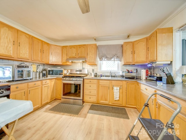 kitchen with crown molding, sink, light wood-type flooring, and appliances with stainless steel finishes