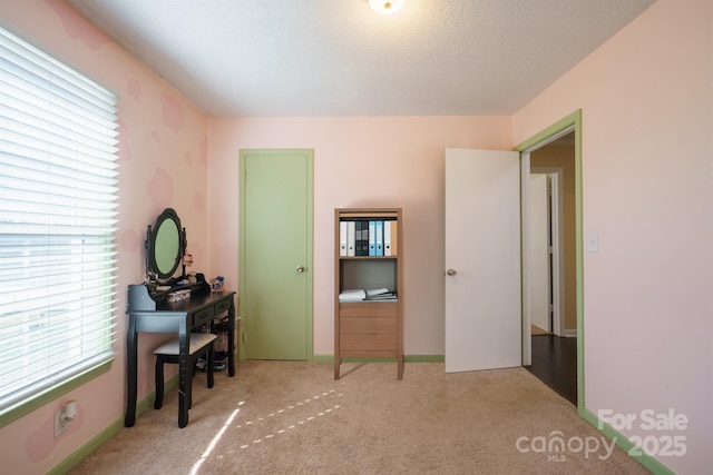 office area featuring light carpet and a textured ceiling