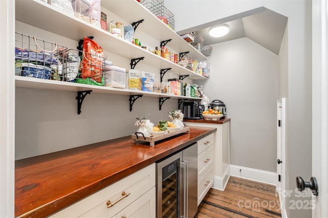 pantry with beverage cooler