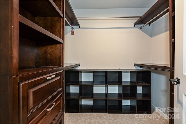 spacious closet featuring light carpet