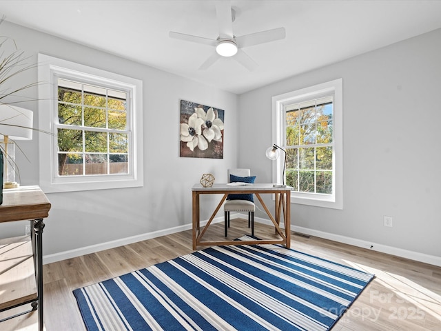 office space with a wealth of natural light, ceiling fan, and hardwood / wood-style flooring