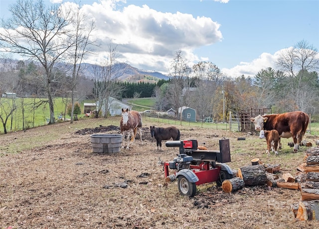 view of yard with a mountain view and a rural view