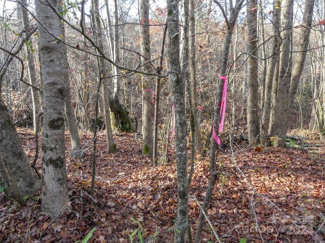 0 Stateline Rd, Mooresboro, NC 28114