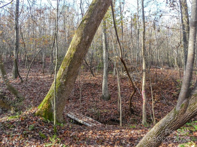 0 Stateline Rd, Mooresboro, NC 28114
