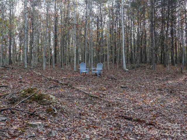 0 Stateline Rd, Mooresboro, NC 28114